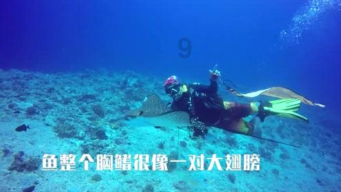 战国无双4-2